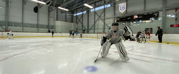 Goaltender Development